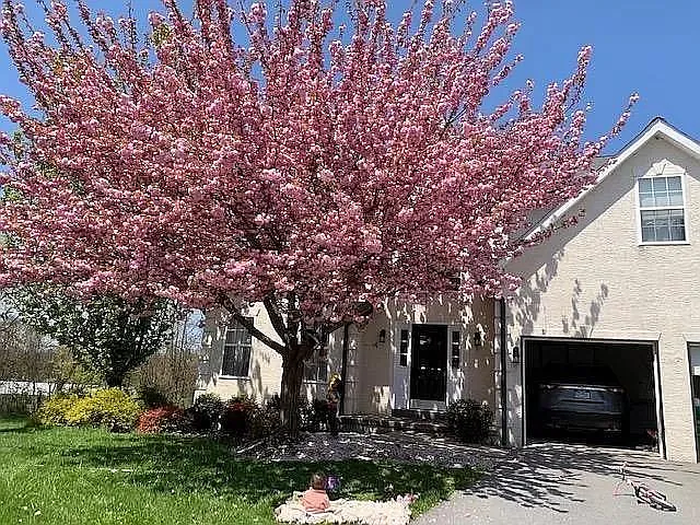7211 McKee Ct — Photo 1