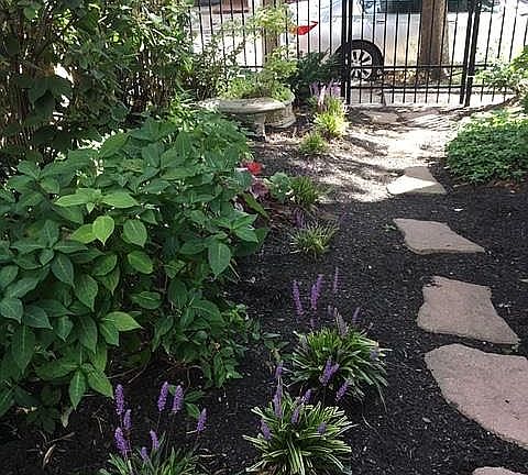 Courtyard in the Spring!