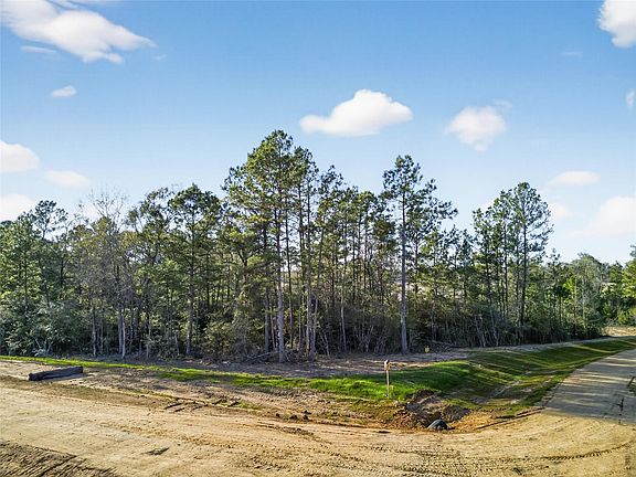 4th image of 100 Remington Ct Lot 20