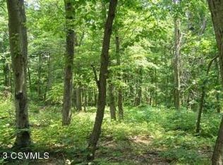 Hammer Hollow Rd, Mifflintown, PA 17059