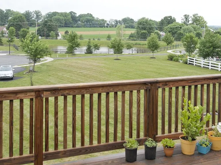 Back View from Deck