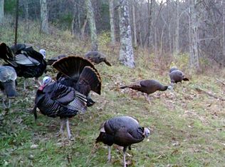 2049 Crooked Creek Rd, Carlisle, KY 40311