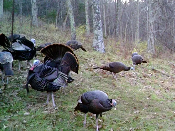 2049 Crooked Creek Rd, Carlisle, KY 40311