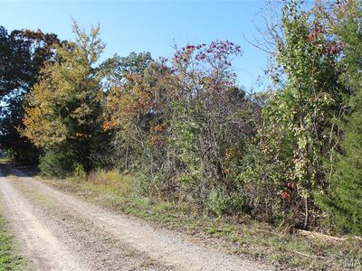 Mulberry Ln, Harviell, MO, 63945