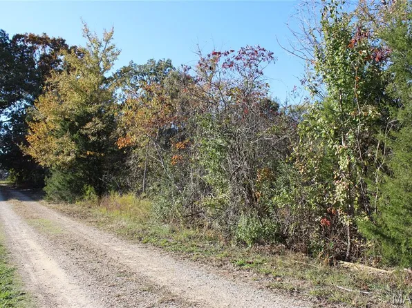 Mulberry Ln, Harviell, MO 63945