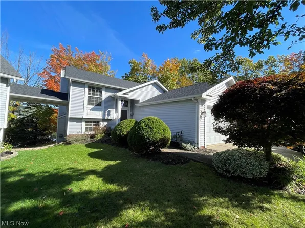 9781 Springhouse Ln E, Mentor, OH 44060