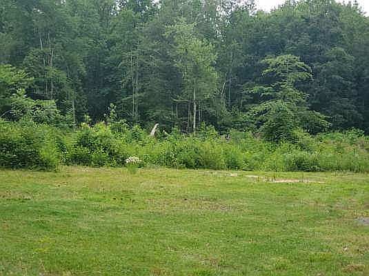 1st image of Goodman Dr