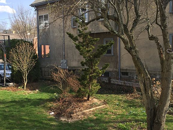 Side Yard facing neighbor