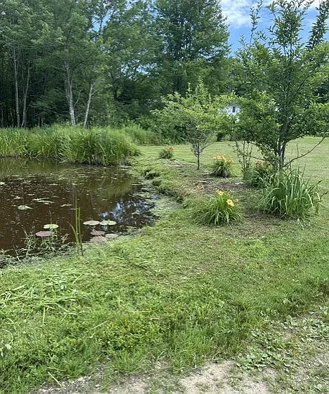 293 Bear Hill Rd #3 — Photo 14