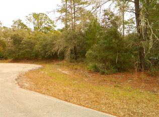 41336 Balsam St, Eustis, FL 32736