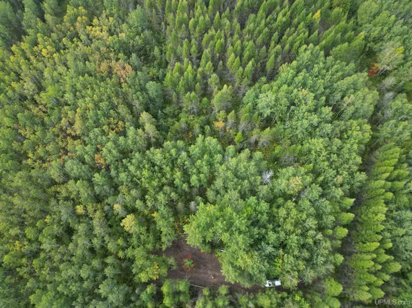 Off Cr Rd #426, Cornell, MI 49818