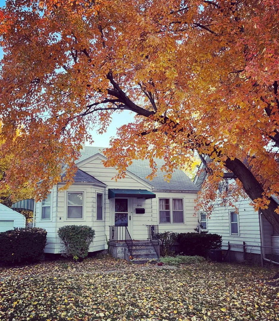Cottage cutie for Rent — Photo 1