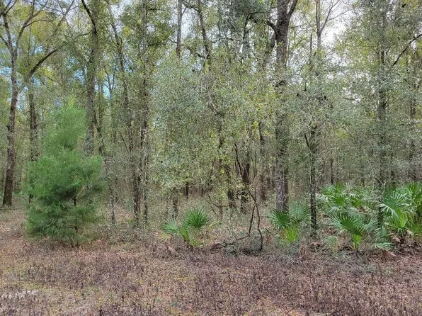 121st Dr, Live Oak, FL 32060