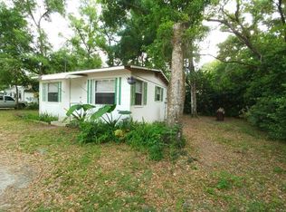 25290 NE 133rd Pl, Salt Springs, FL 32134