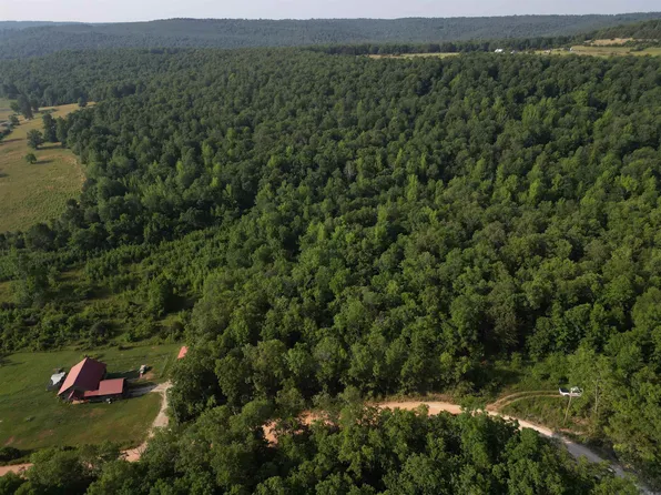 (undisclosed Address), Mountain View, AR 72560