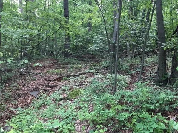 00 Morsetown Rd, West Milford Twp., NJ 07480