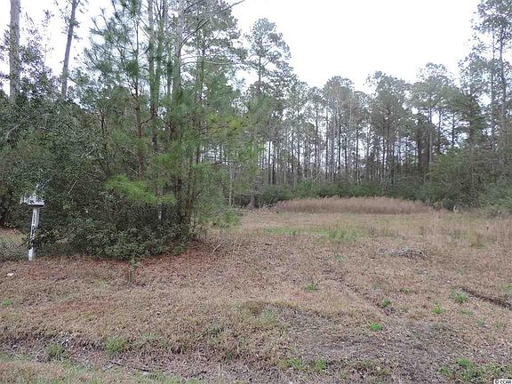 4th image of 1553 Bluegil Dr. Lot 2