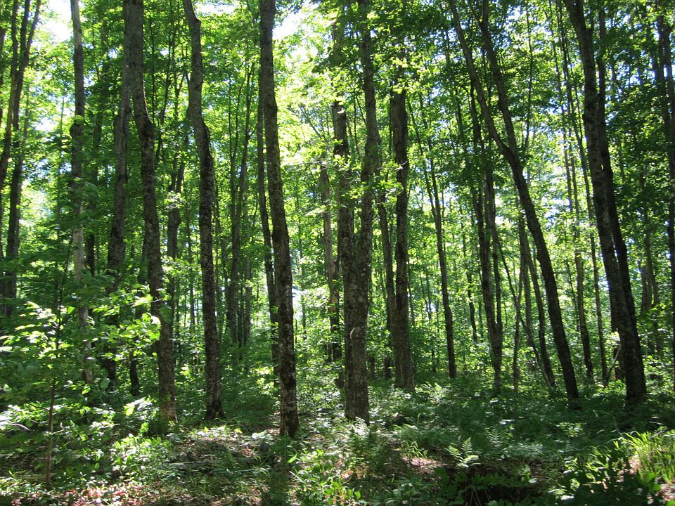 1st image of 14618 County Road 450