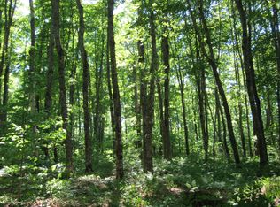 14618 County Road 450, Newberry, MI 49868