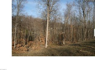 3347 Glentrool Ln, Richfield, OH 44286