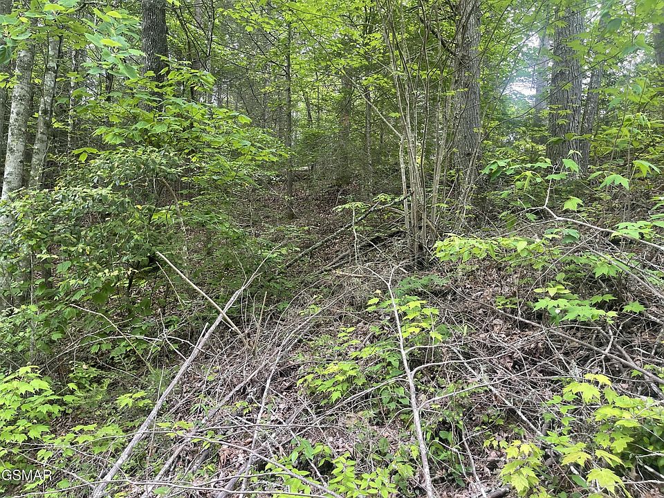 1st image of 1115 Tranquility Hills Way Lot 11