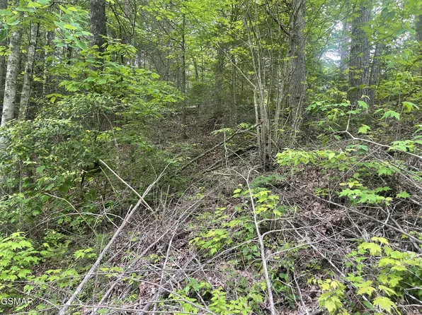 1115 Tranquility Hills Way Lot 11, Cosby, TN 37722