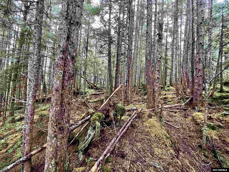 Legal Address Only Thorne Bay Lot 4; Block 6; Plat, Thorne Bay, AK