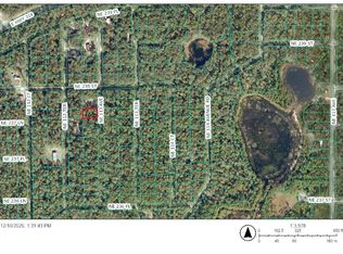 NE 113th Ave Lot 15, Fort Mc Coy, FL 32134