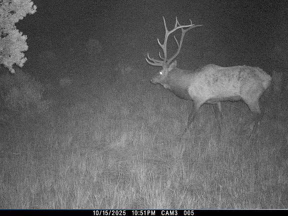 2nd image of S And West Rnch