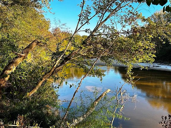 5th image of 0 Forest Service Rd #307A