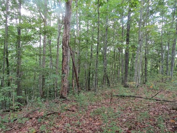 5th image of Backwoods Trl Lot 2