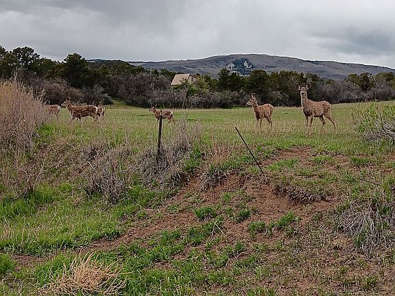2nd image of 22583 Uintah Rd