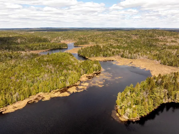 Map 12 Lot #7-A, Whiting, ME 04691