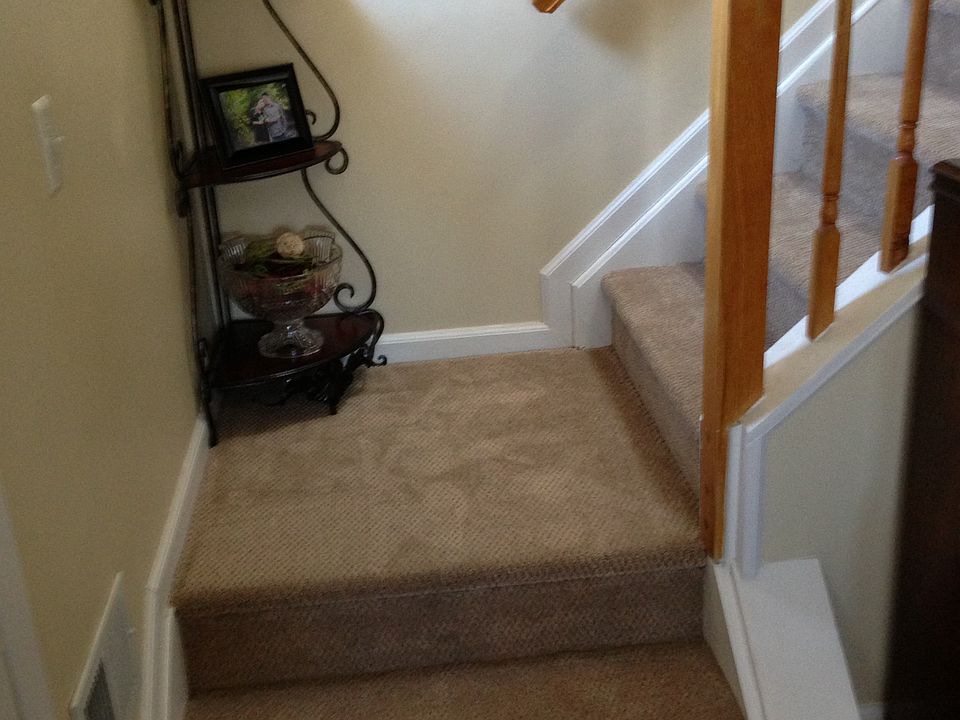 New carpet 