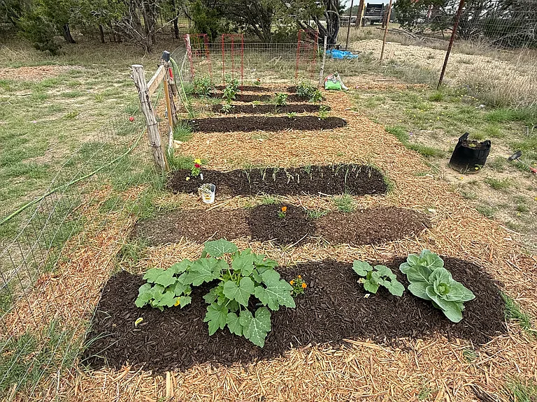 Dedicated garden area, fenced with a gate.