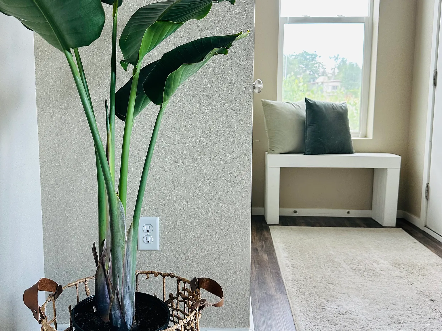 3 bed, 2.5 bath, 1685 sqft, $2,500 — Photo 2