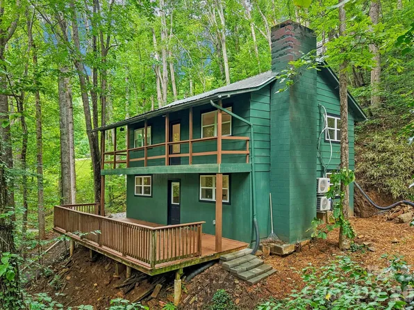 152 Dream Mountain Blvd, Canton, NC 28716