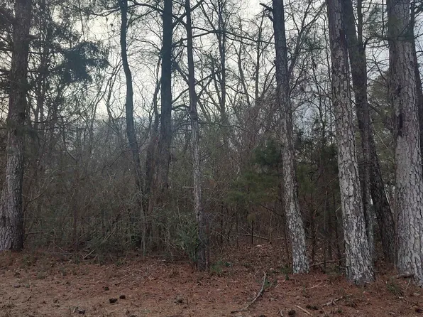 5876 Wyeth Mountain Rd, Guntersville, AL 35976