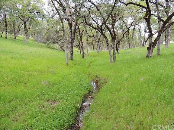 Seasonal stream