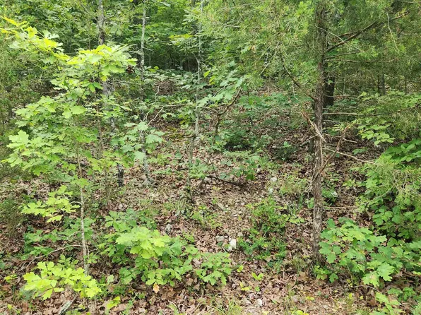 L-137 Tampa Trce #B, Cherokee Village, AR 72529