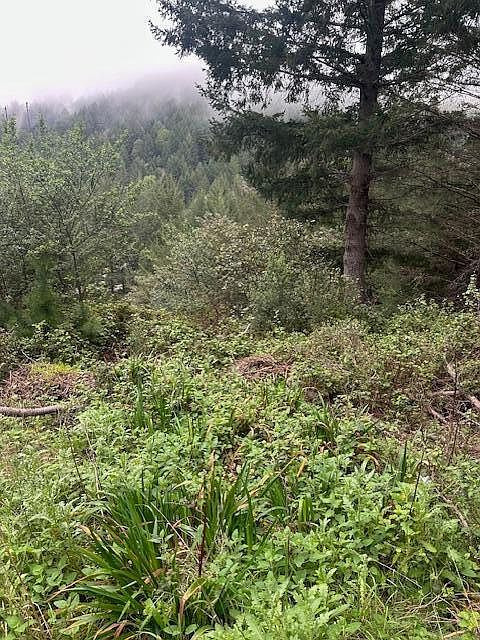 1st image of 233 Nob Hill Rd