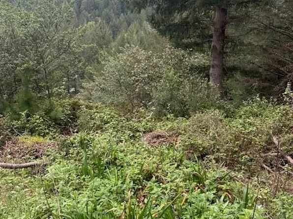 233 Nob Hill Rd, Whitethorn, CA 95589