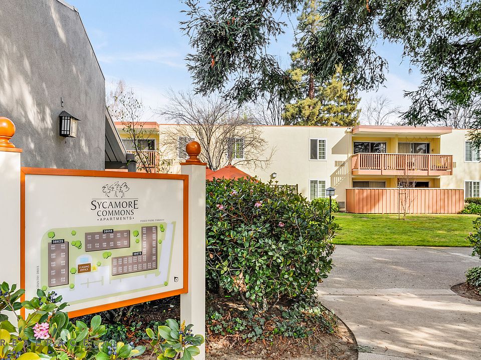 Sycamore Commons Apartment Rentals Fremont, CA Zillow