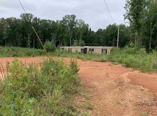 9756 E Highway 16, Senoia, GA 30276