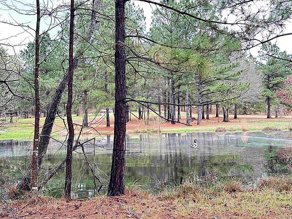 4th image of 1000 Quapaw Rd