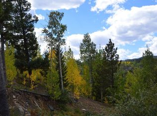 1 Dakota Ridge Rd, Idaho Springs, CO 80452