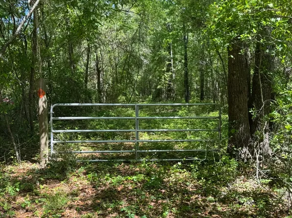 Our Dream Ln, Walterboro, SC 29488