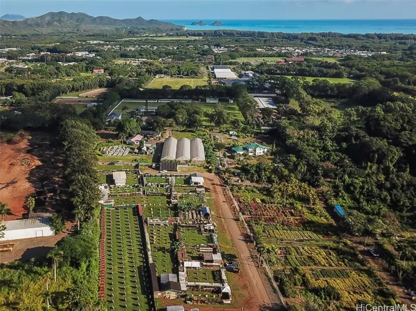 41-555 Waikupanaha St, Waimanalo, HI 96795