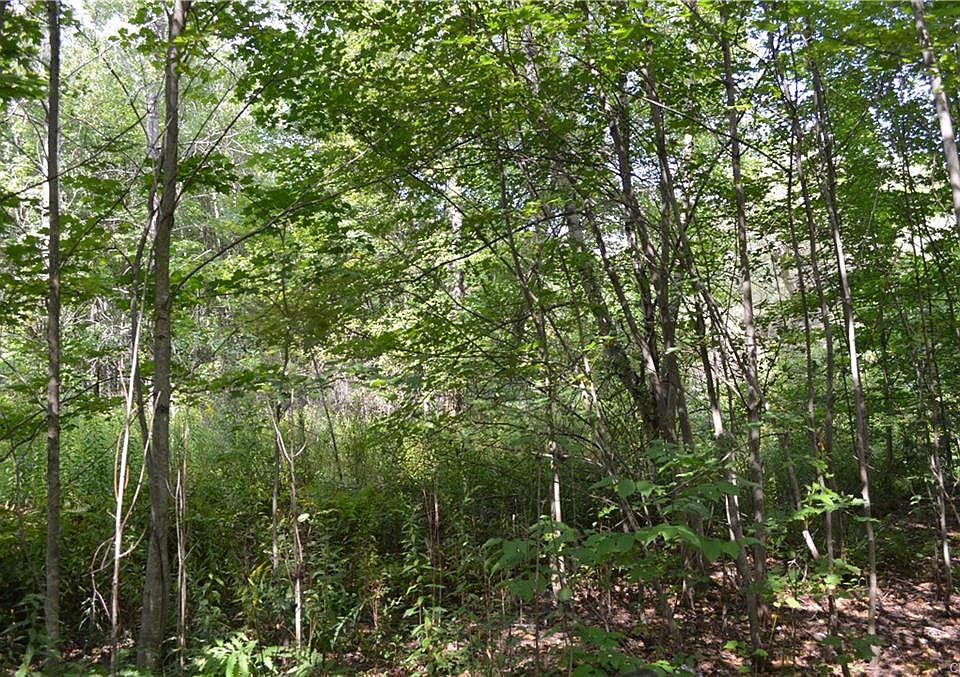 000 Center St, Constantia, NY 13042 Zillow