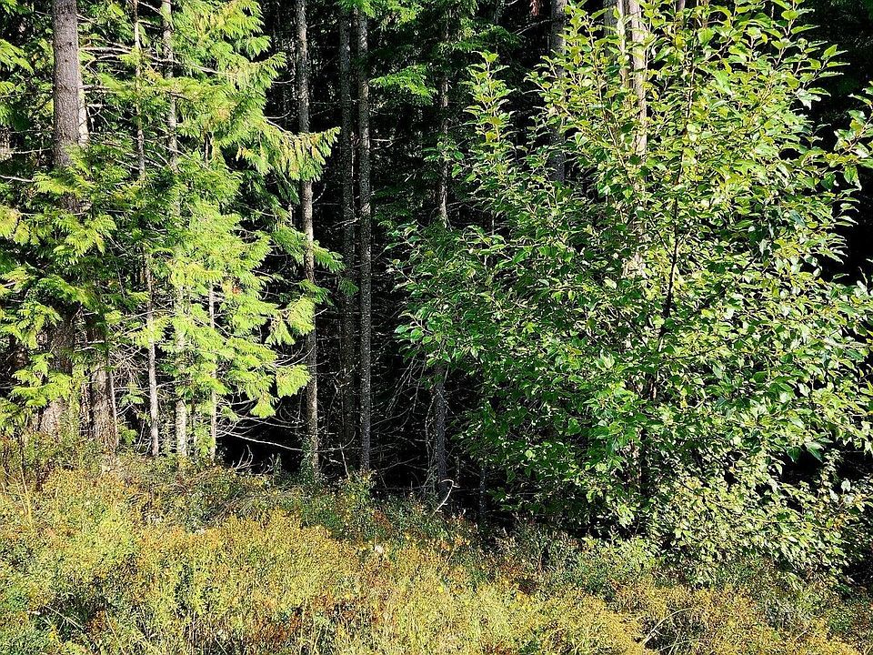 1st image of 0 Alder Way